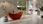 Wanna Besco Axya 180x80 Earth Rust WAA180ERW - zdjęcie 8