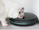 Cecotec Dozownik Karmy Pumba 1600 Purrfect Meal Czarny 09562 - zdjęcie 3