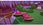 Gra Nintendo Switch My Little Pony A Zephyr Heights Mystery (Gra NS) - zdjęcie 4