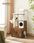 FEANDREA PCT113X01 Drapak dla kota z kuwetą Vintage Brown - zdjęcie 4