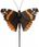 3M Motyl Na Patyku Dekoracja Do Ogrodu 1szt. (631638) - zdjęcie 2