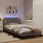 vidaXL Rama Łóżka Z Oświetleniem Led Taupe 100X200 Cm Tkanina - zdjęcie 3