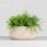 Dekoria Doniczka Revole 12cm 24X12cm 815080 - zdjęcie 2