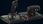 Joystick Turtle Beach VelocityOne Flightdeck TBS072405 - zdjęcie 10