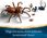 LEGO Harry Potter 76434 Aragog w Zakazanym Lesie - zdjęcie 8