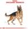 Karma dla psa Royal Canin German Shepherd Adult 12kg - zdjęcie 3