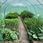 John Green Folia Na Tunel Ogrodowy Foliowy Uv 2X3,5X2m Sdh326 - zdjęcie 6