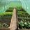 John Green Folia Na Tunel Ogrodowy Foliowy Uv 2X3,5X2m Sdh326 - zdjęcie 11