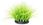 Nobleza Fluorescencyjne Eleocharis Parvula (B40803XGK) - zdjęcie 3