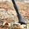 Vitolog Końcówki Do Kijków Nordic Walking Trekkingowych Nasadki Nóżki Raciczki Para (2802983RACICZKI) - zdjęcie 3