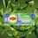 Herbata Lipton Herbata Green Earl Grey 20Szt. Torebek - zdjęcie 6