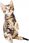 Żwirek Silikonowy Dla Kota Strong Pets 3,8L - zdjęcie 2