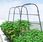 Stojak Uprawowy Wielofunkcyjny Multi Stand 180X40X140cm Cultivo - zdjęcie 2