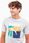 Koszulka męska Puma Graphics Summer Sports Tee II szara 627909 04 - zdjęcie 5