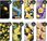 Hello Case Etui Do Nokia G11 G21 Cytryny Cytrynki Smak Lata Cytrusy Lemon - zdjęcie 6