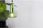 Eco-Light Lampa Sufitowa, Podwieszana Perseus 9470 S-1 Gn E14 Zielony - zdjęcie 2