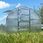 Szklarnia Baltic Lt 3X8 m Poliwęglan 6mm Fundament 24m²  - zdjęcie 2