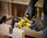 Stanley Pilnik Taśmowy V20 2x2,0Ah 13mm Sfmce210D2Kqw - zdjęcie 6