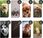 Hello Case Etui Z Klapką Do Honor 200 Lite 5G (Global) Pieski Psiaki Dogs Case - zdjęcie 3