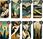 Hello Case Etui Do Honor 200 Lite 5G (Global) Art Deco Łempicka Tamara +Szkło - zdjęcie 4