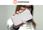 Mobiwear Etui Do Google Pixel 8A White Orange - zdjęcie 5