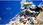 Gra Nintendo Switch SD Gundam Battle Alliance (Gra NS) - zdjęcie 4