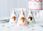 Party Deco Czapeczki Konie 16cm Mix. 1 Op. 6szt. - zdjęcie 2