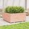Dkd Home Decor Donica 100X100X49,5cm Z Litego Drewna Daglezji Zielonej - zdjęcie 2