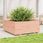 Dkd Home Decor Donica 110X110X49,5cm Z Litego Drewna Daglezji Zielonej - zdjęcie 2