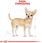 Karma dla psa Royal Canin Chihuahua Adult 500g - zdjęcie 4