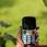 MOBIOLA  MB800 NIEBIESKI 2G Telefon GSM dla seniora - zdjęcie 3