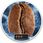 Kawa Kawa ziarnista Limited Edition Specialty 500g Blue Orca Coffee Brazylia Santa Rita Family - zdjęcie 9