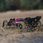 Model samochodu Rc Arrma Typhon 6S Blx 4WD 1/8 Buggy aluminium #ARA8606V5 - zdjęcie 3