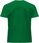 Koszulka dziecięca T-shirt zielony w-f 116 Jhk - zdjęcie 4