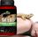 Terrario ORYO for Bearded Dragons 150g witaminy dla agamy brodatej - zdjęcie 3
