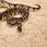Zoomed Aspen Snake 4.4l podłoże dla węży - zdjęcie 2
