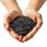 Eco Plant Black River 1kg żwirek czarny 2-4mm - zdjęcie 2