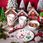 Altom Design Ciuchcia Drewniana 19X2.5X5.5 Cm Kol. Czerwony - zdjęcie 3