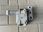 Zawieszenie silnika Volkswagen Poduszka Silnika P Vw Tiguan 2.0D 09.07- 5N0199262F - zdjęcie 4