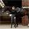Legginsy Jeździeckie Ciemny Grafit, Damskie Equus Brand - zdjęcie 6