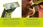 Trymer PHILIPS OneBlade 360 Face + Body QP2834/31 - zdjęcie 4