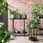 Ikea Olivblad Stojak Na Kwiaty Czarny Metal Loft 50486650  - zdjęcie 3