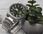 Casio  Edifice EFS-S570D-3AUEF Momentum - zdjęcie 6