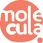 Molecula Syrop Do Bubble Tea 2.5kg Koncentrat Sok Mango - zdjęcie 4