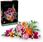 LEGO Botanicals 10342 Piękny bukiet różowych kwiatów - zdjęcie 1