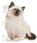 Karma dla kota Royal Canin Kitten 2x400g - zdjęcie 3