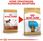 Karma dla psa Royal Canin Dachshund Puppy 2x1,5kg - zdjęcie 4