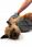 Ręcznik Do Wycierania Psa Mountain Paws 81300 - zdjęcie 3