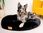 Mimiko Pets Legowisko Shaggy okrągłe XXL 100cm czarne 1773343482 - zdjęcie 2