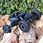 Samochód Zdalnie Sterowany Terenowy 4x4 Auto Rc 1761942105 - zdjęcie 5